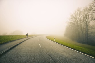 The Kraueler main dyke in the fog in Kirchwerder, Hamburg, Germany