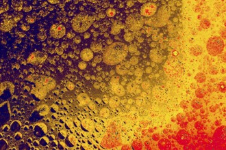 Air and oil bubbles inside water base form patterns