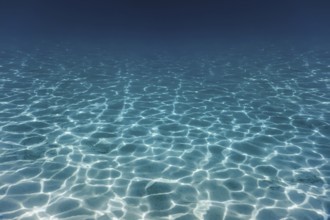 Sandy sea bottom Underwater background
