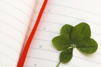 Four Leaf Clover and New Day
