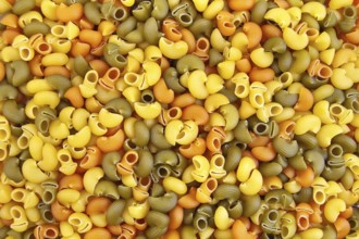 The texture of the yellow, green and orange pasta