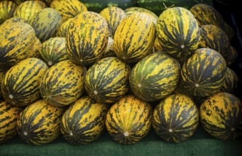 Beautiful tasty ripe melons at the market