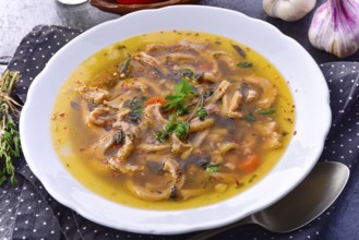 Traditional Politur-style tripe soup with beef and vegetables