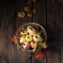 Frische und leckere bio-äpfel in einem korb