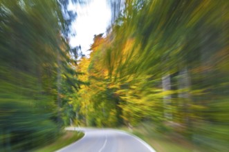 Speed on the street with autumnal surroundings and colourful leaves. Motion on the street in autumn
