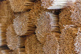 Processing of reed for thatching