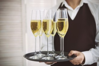 Professional male waiter in uniform serving champagne. DOF. Natural light. Photo in motion