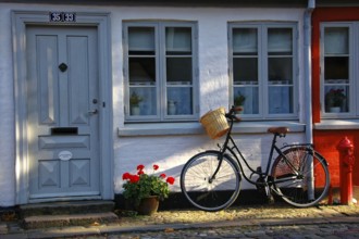 House entrance, Odense, Denmark, Europe, Black bicycle rests against an old house with floral