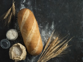 British White Bloomer or European sourdough Baton loaf bread on black background. Fresh loaf bread