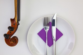 Symphony of taste. White plate and old violin on the white wooden table.Top view. Flat Lay Image