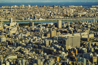 Arakawa and the city of Tokyo. Shooting Location: Sumida Ward, Tokyo