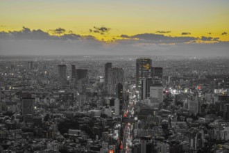 Sunset view and evening view of the city of central Tokyo. Shooting Location: Tokyo metropolitan