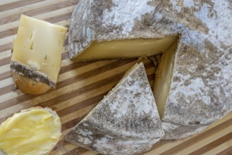 Tomme de Savoie, semi-soft cowmilk cheese with typical mould rind. French semi-soft cowmilk cheese