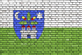 Flag of Veszprem County painted on brick wall