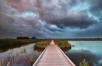 Wooden bike road on water at rainy sunset, Netherlands