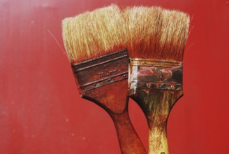 Closeup of two dirty paintbrushes against red background