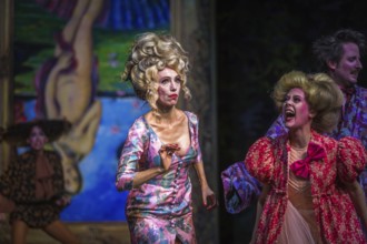 Production by Herbert Fritsch at the Schaubühne Berlin with Bastian Reiber, Florian Anderer and