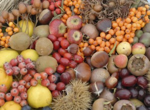 Wild fruit