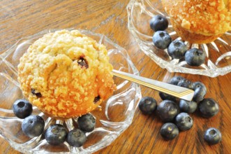 Blueberry muffins on a white plate with fresh berries, Blueberry muffins with blueberries