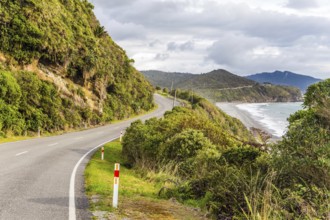Picturesque road to Pancake Rock - natural wonder of New Zealand. West Coast of the South Island.