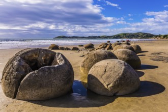 Travel to New Zealand. Boulders Moeraki - a group of large spherical boulders on the beach Koekokhe