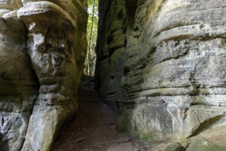 Hiking trail in sandstone cliffs, Mullerthal Trail, Berdorf, Luxembourg