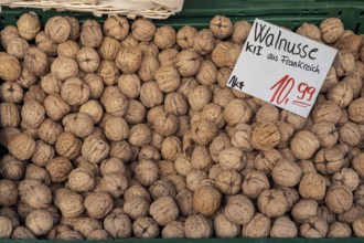 Walnuts (Juglans), from France, Kempten, Allgäu, Bavaria, Germany
