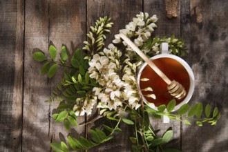 Presentation of small container with acacia honey with its flower