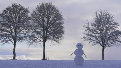 Snowman with trees