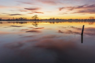 Reflection of orange sky in water of flooded meadow at sunrise. Alsace, France