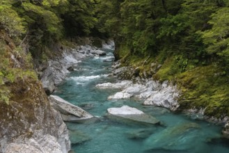 Colorful blue mountain river at the Haast pass, South Island of New Zealand