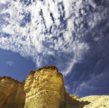 Stone desert near to canyon En-Avdat in Israel