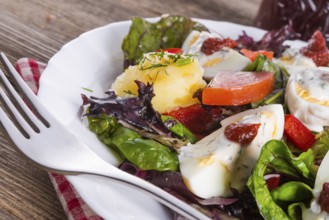 Salad with boiled egg