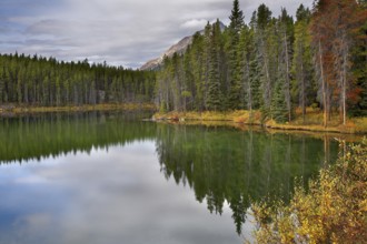 A smooth surface of the lake, surrounded by dense northern wood