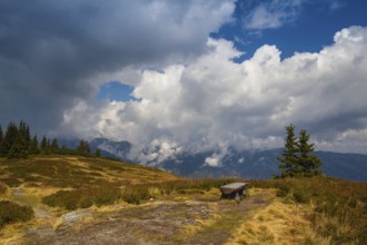 Lonely empty bench on the mountain in Planai in Austria