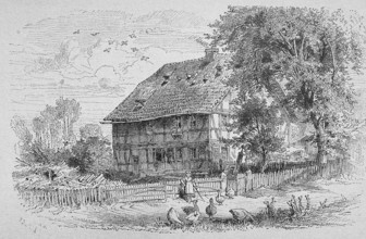 Illustration, agriculture, cultivation, outdoor, farmer, farm, biology, depiction, garden