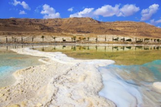 Therapeutic Dead Sea, Israel. The evaporated salt is precipitated by picturesque stripes in shallow