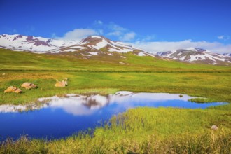 Summer Iceland. Blue lake water reflects the snowy hills. The fields overgrown with fresh green
