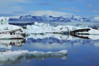 Sunrise. Blue and emerald icebergs and ice floes are reflected in smooth water of the Gulf