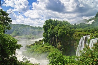 Iguazu Wasserfälle, Iguazu Wasserfälle near Puerto Iguazú, Misiones, Brazil, Puerto Iguazú, Brazil