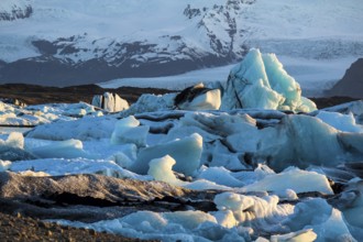View of Jokulsarlon glacial lake on a summer evening, Iceland