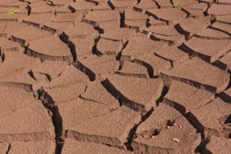Drought, Lake of the canards, Lakes of Neila, Burgos, Castilla y Leon, Spain