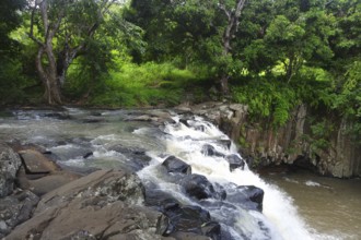 Rochester Falls, Mauritius