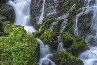 Fresh and beautiful waterfalls in a mountain torrent in spring. La Serva, Champ du feu, Vosges,