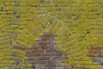 Background with brick wall grown with mos and ancient medieval window shape
