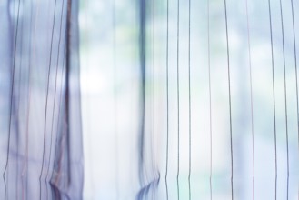 Transparent curtain on window. Curtain background