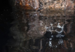 Water drops in nature environment. Wooden background