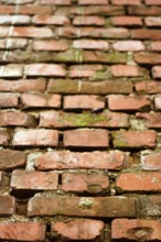 Old brick wall. Close up