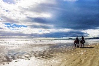 KOEKOKHE BEACH, SOUTH ISLAND, NEW ZEALAND - MARCH 15, 2018: The huge round stone boulders Moeraki.