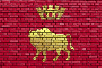 Flag of Grodno Region painted on brick wall